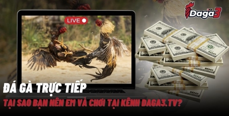 Giới thiệu về kênh đá gà trực tiếp thomo jantra.co