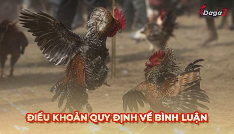 Người dùng cần tuân thủ một số điều khoản khi bình luận trên jantra.co