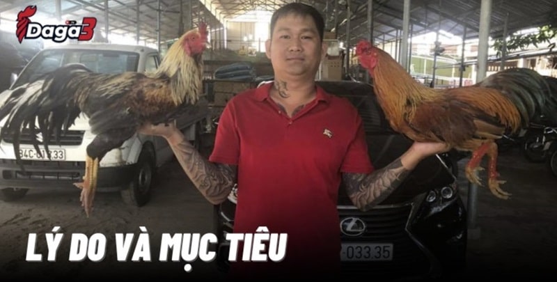 Mít Trà Cú sáng lập trang đá gà trực tiếp jantra.co